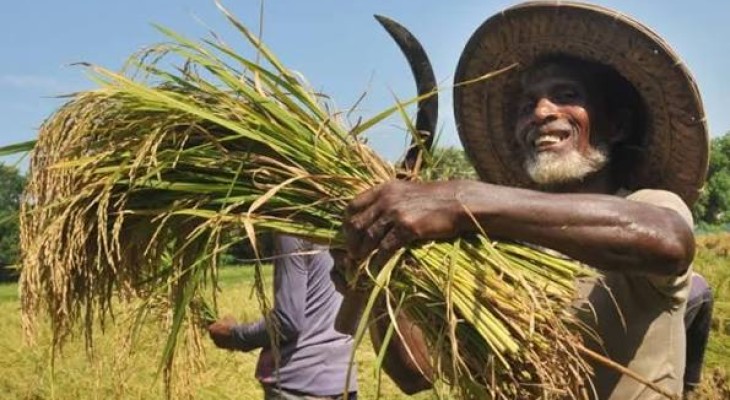 ১৪ লাখ কৃষকের সুদসহ কৃষিঋণ মওকুফ